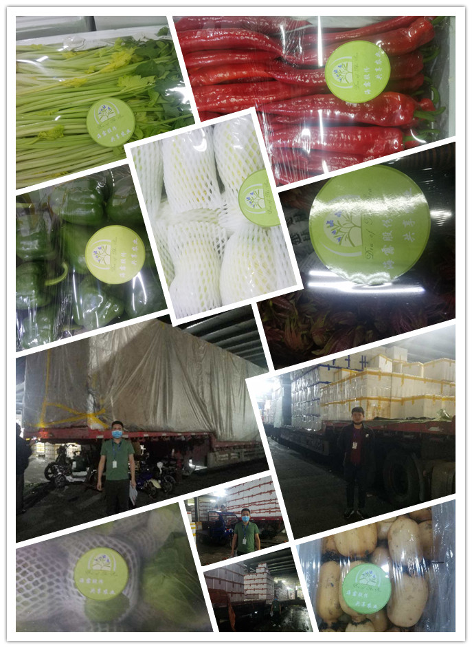 AG真人国际(中国) - 官方网站