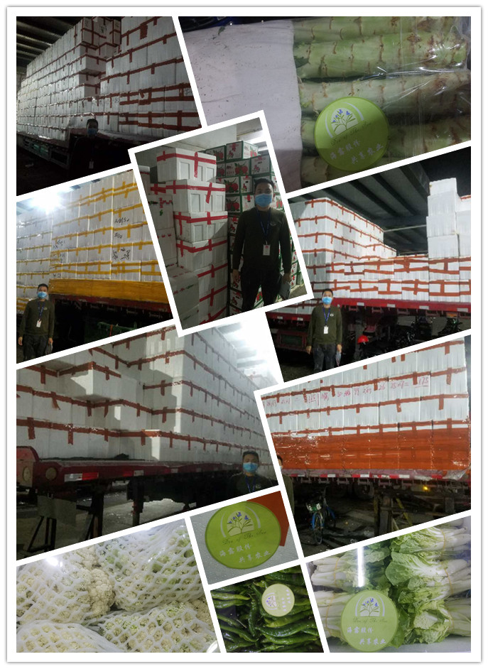 AG真人国际(中国) - 官方网站