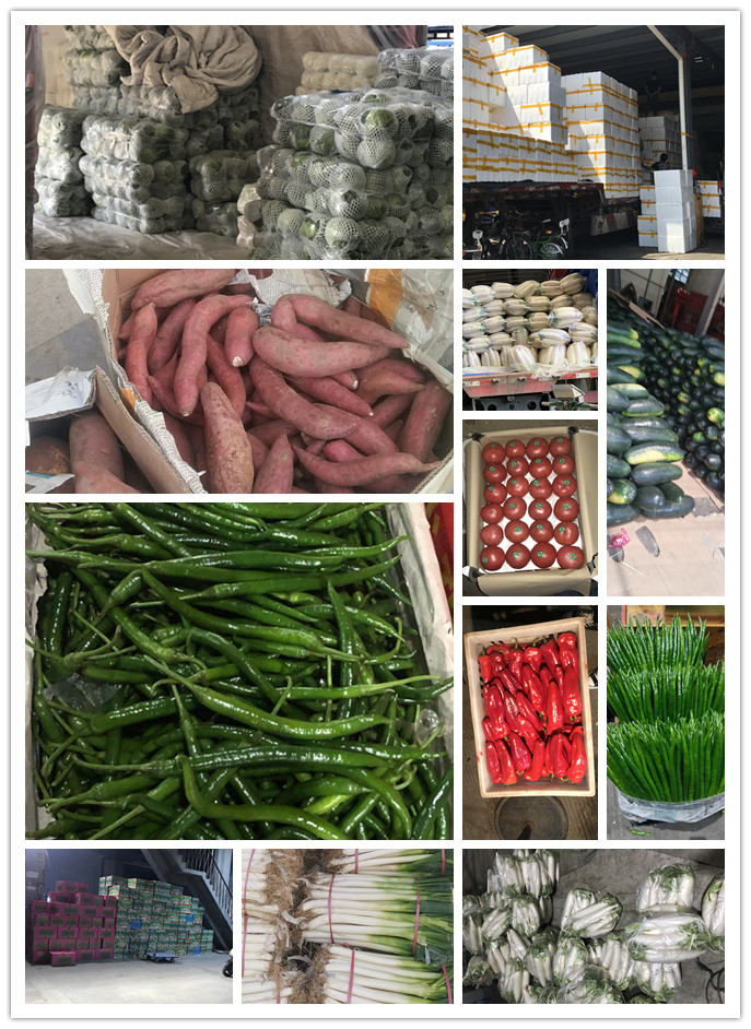 AG真人国际(中国) - 官方网站