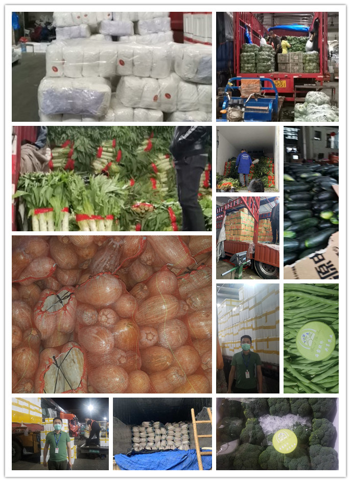 AG真人国际(中国) - 官方网站