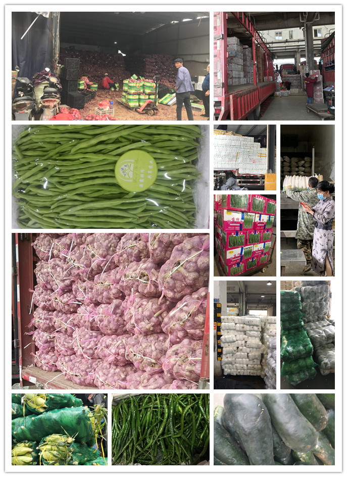 AG真人国际(中国) - 官方网站