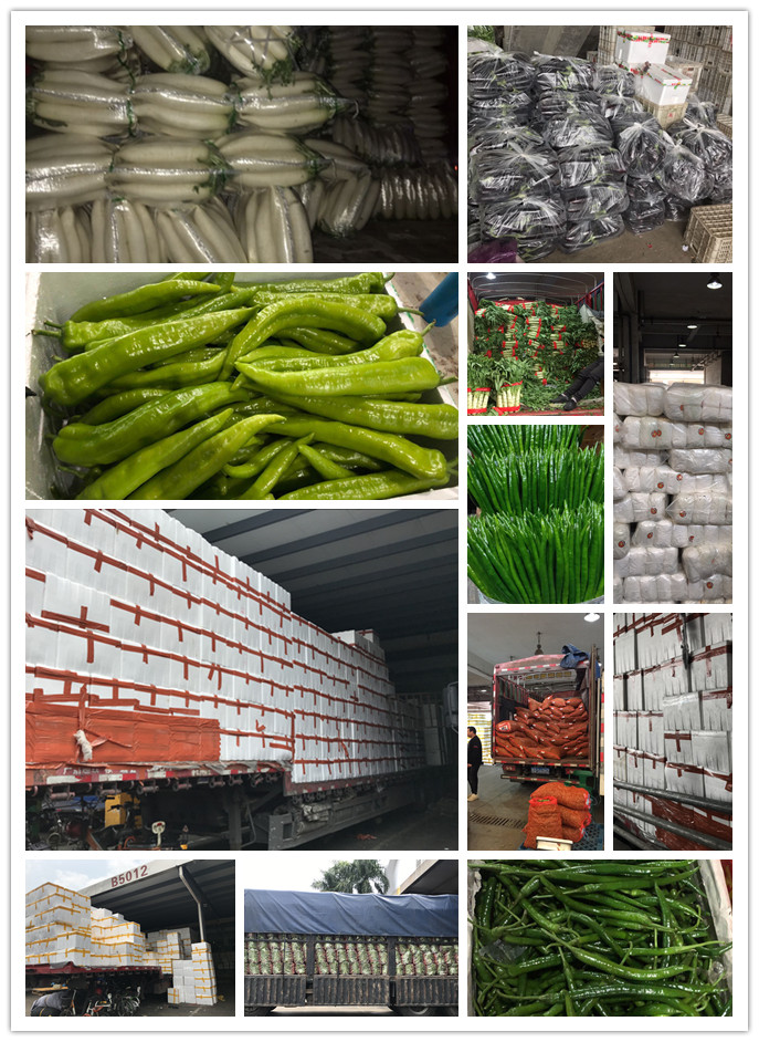 AG真人国际(中国) - 官方网站