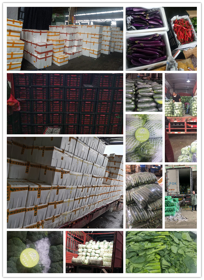 AG真人国际(中国) - 官方网站