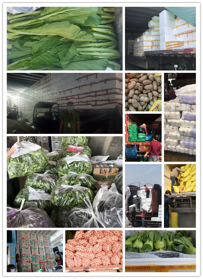 AG真人国际(中国) - 官方网站