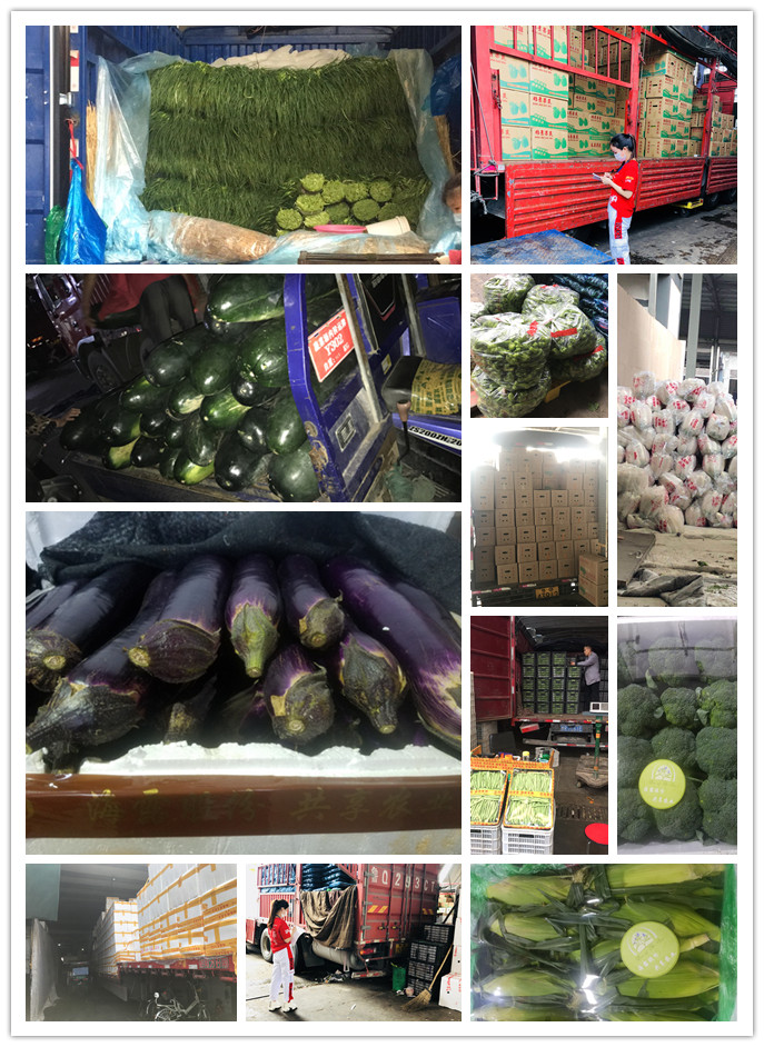 AG真人国际(中国) - 官方网站