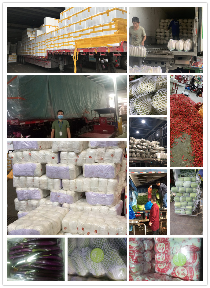 AG真人国际(中国) - 官方网站