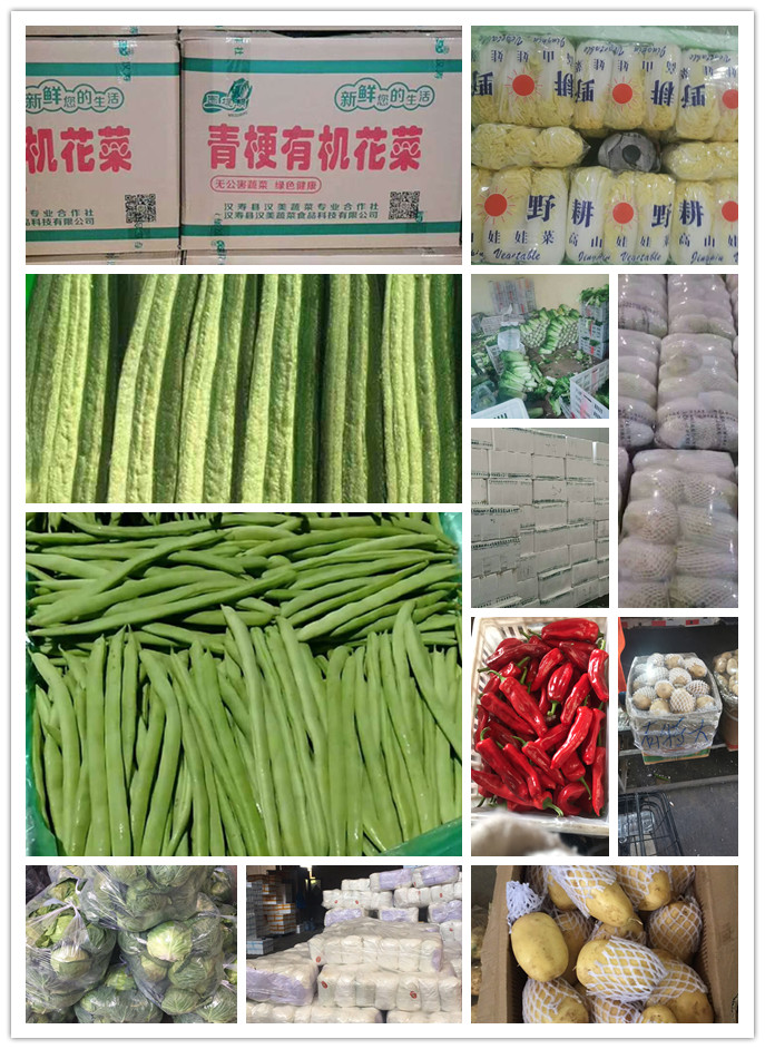 AG真人国际(中国) - 官方网站