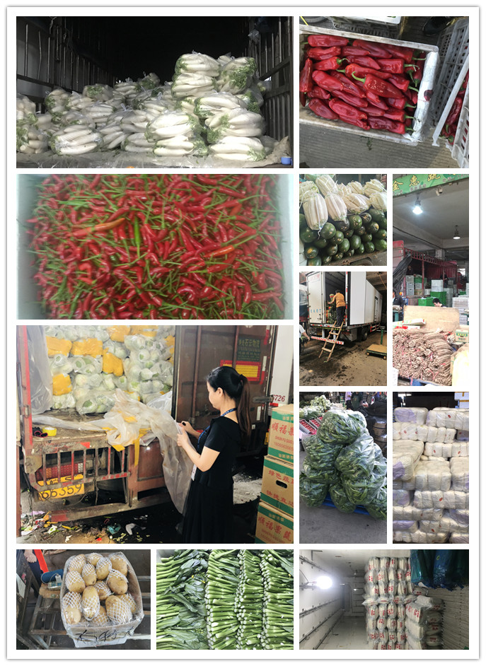 AG真人国际(中国) - 官方网站