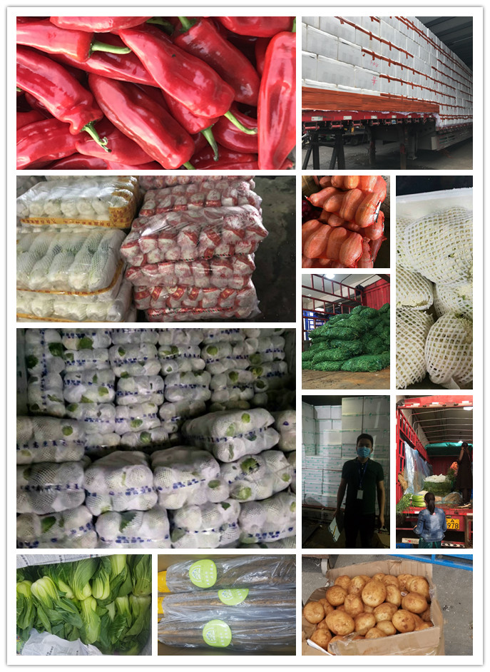 AG真人国际(中国) - 官方网站