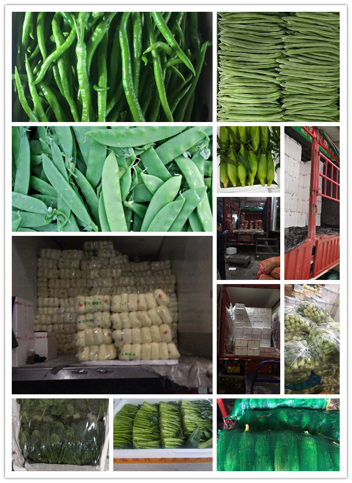 AG真人国际(中国) - 官方网站