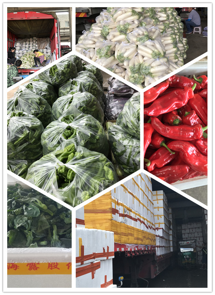 AG真人国际(中国) - 官方网站