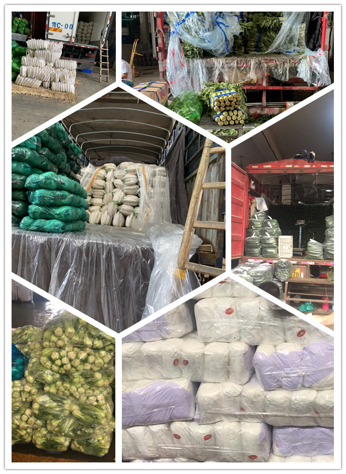 AG真人国际(中国) - 官方网站