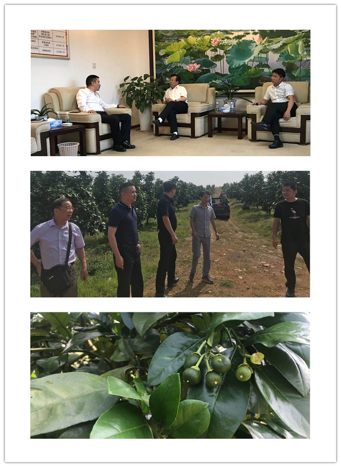 AG真人国际(中国) - 官方网站