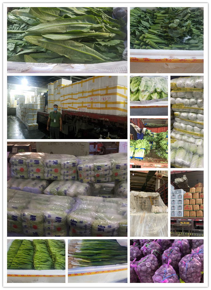 AG真人国际(中国) - 官方网站