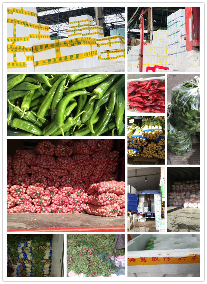 AG真人国际(中国) - 官方网站