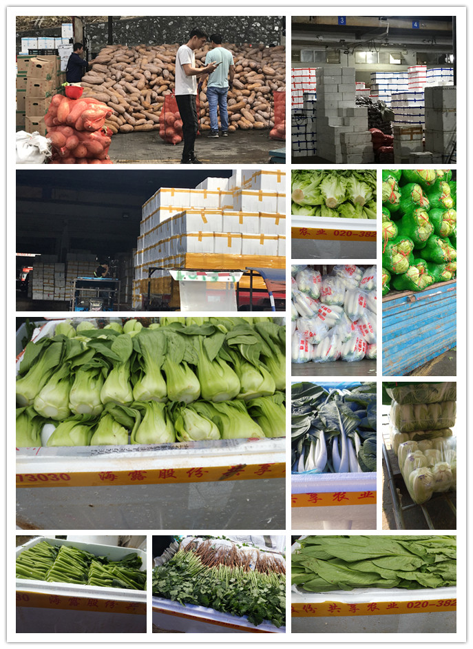 AG真人国际(中国) - 官方网站