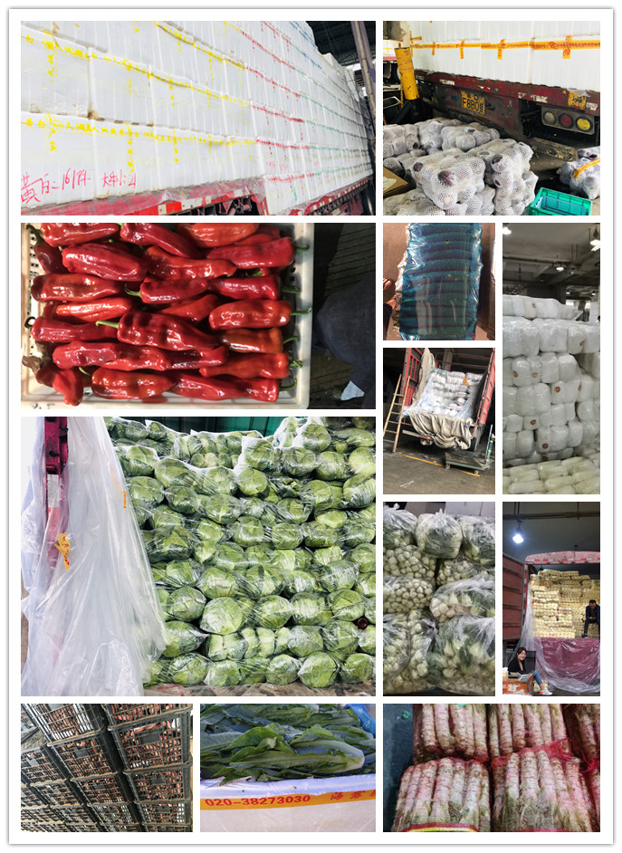 AG真人国际(中国) - 官方网站