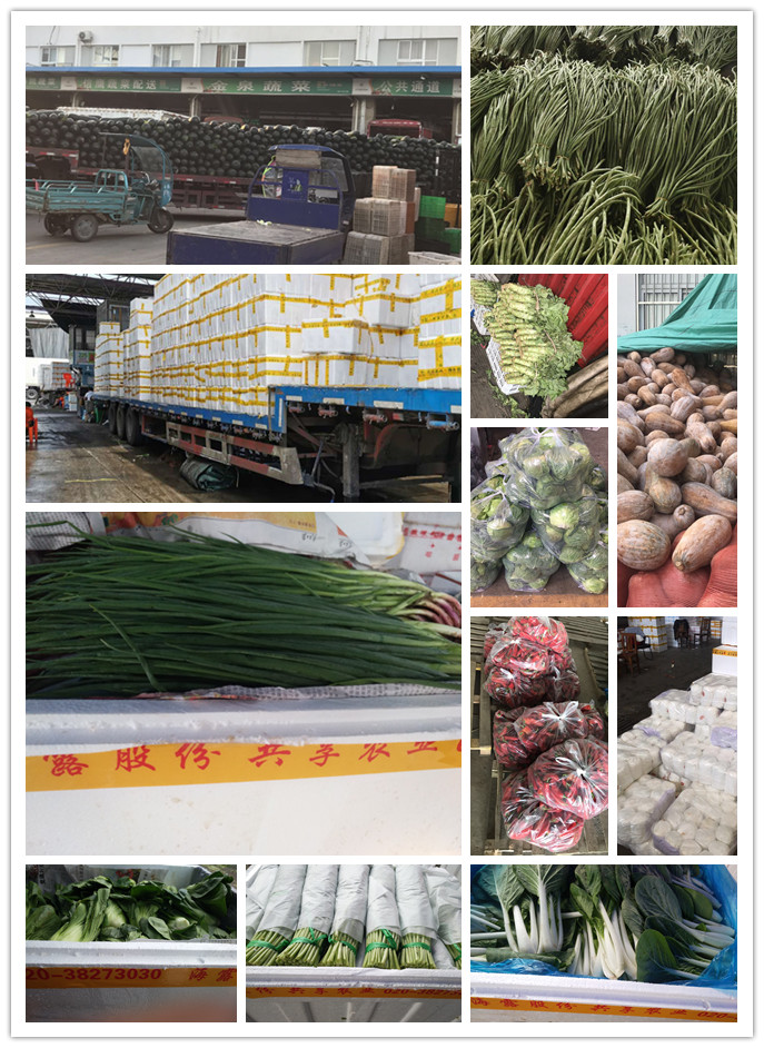 AG真人国际(中国) - 官方网站