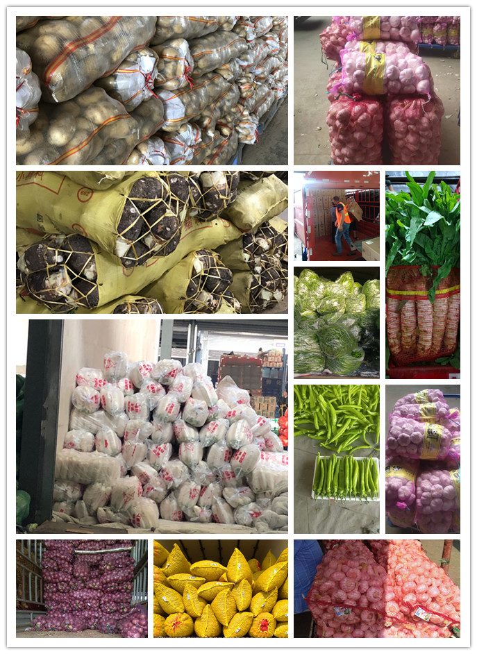 AG真人国际(中国) - 官方网站