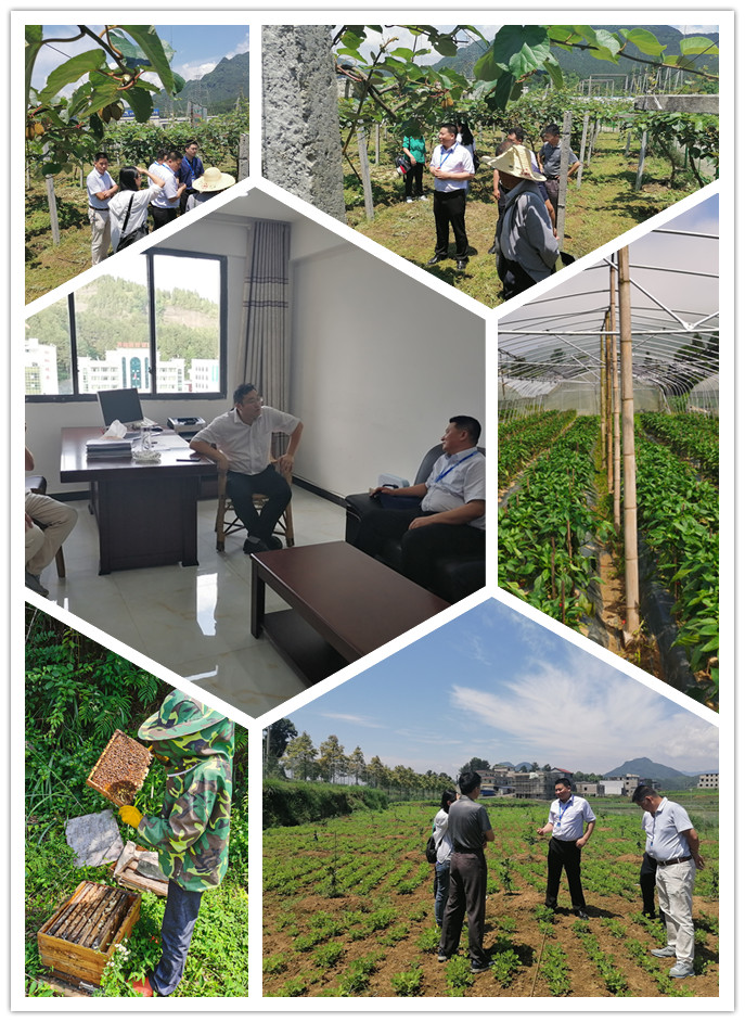 AG真人国际(中国) - 官方网站