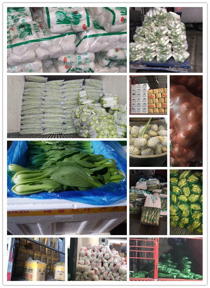 AG真人国际(中国) - 官方网站