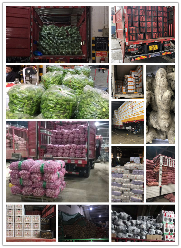 AG真人国际(中国) - 官方网站