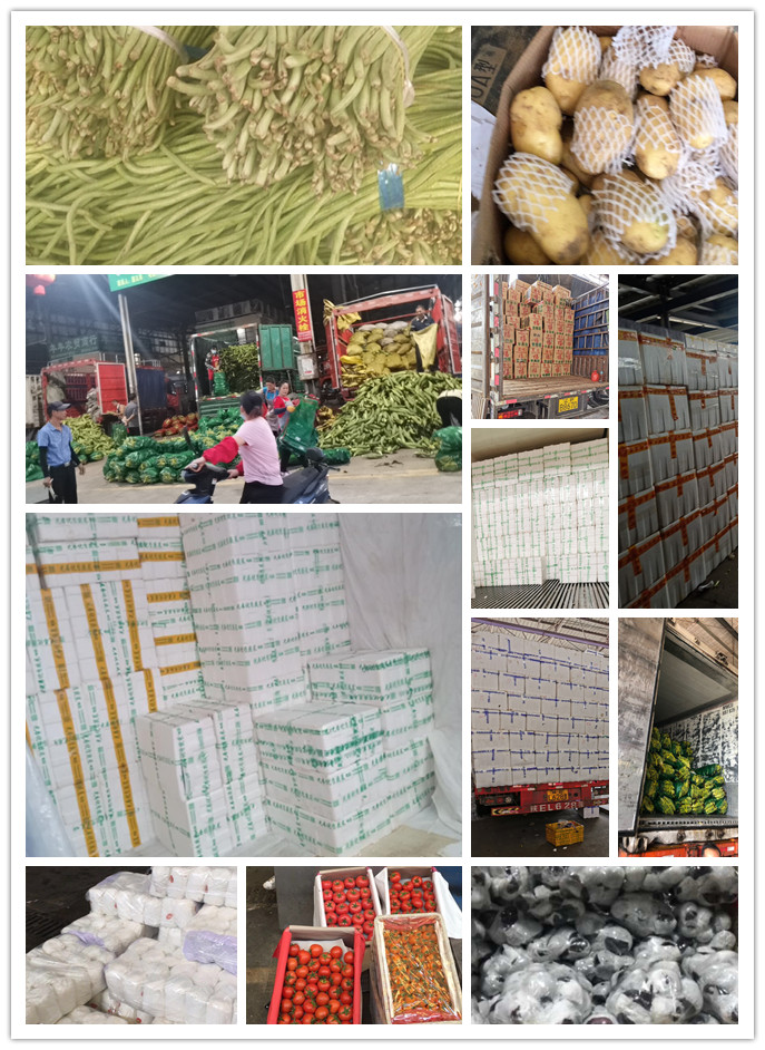 AG真人国际(中国) - 官方网站