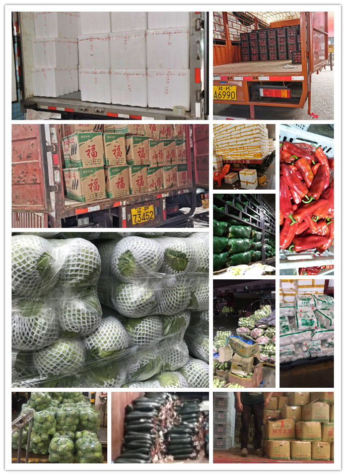 AG真人国际(中国) - 官方网站