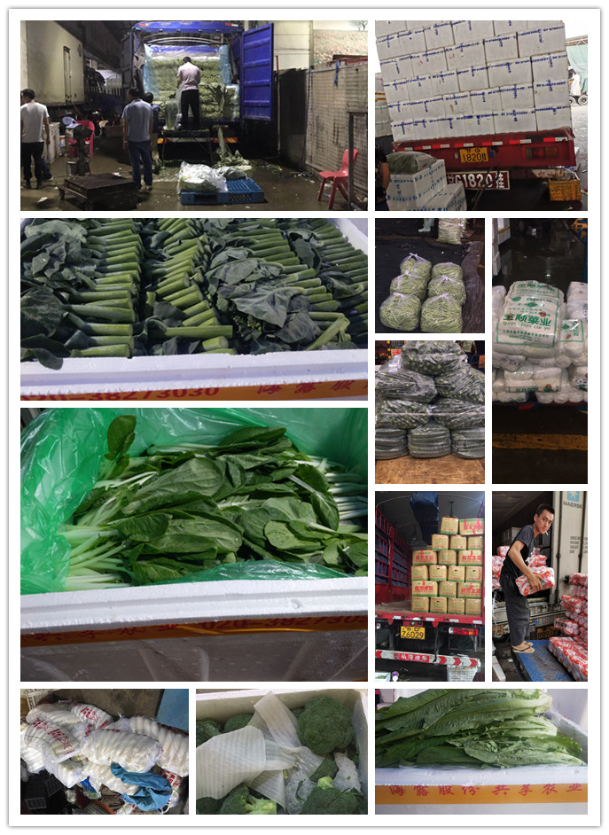 AG真人国际(中国) - 官方网站