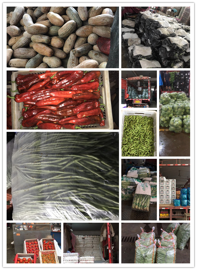 AG真人国际(中国) - 官方网站