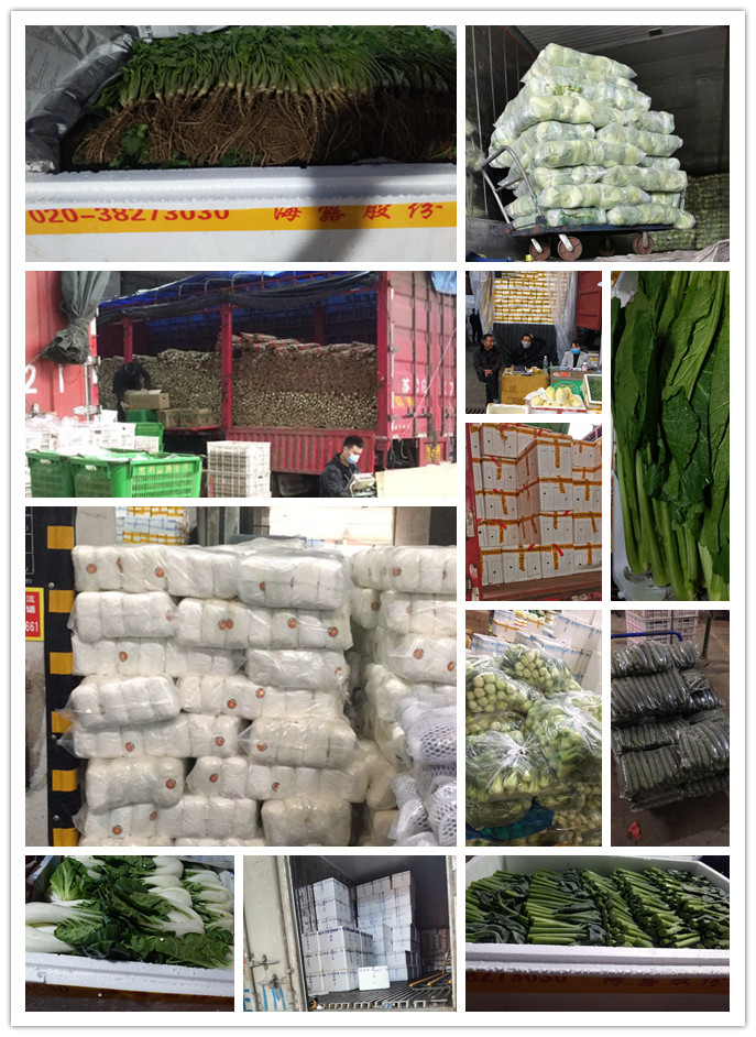 AG真人国际(中国) - 官方网站