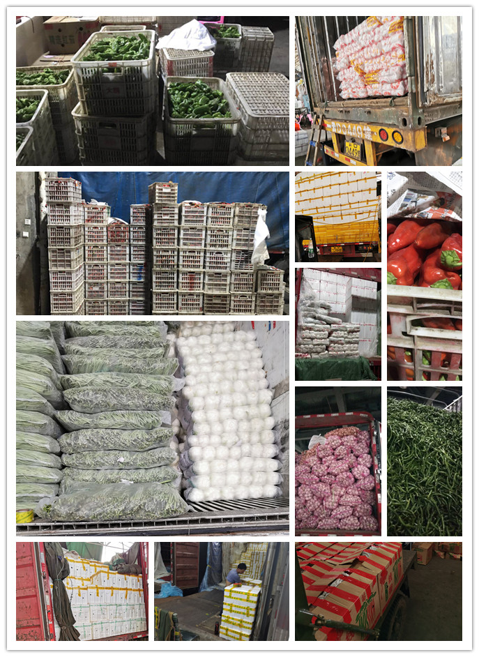 AG真人国际(中国) - 官方网站