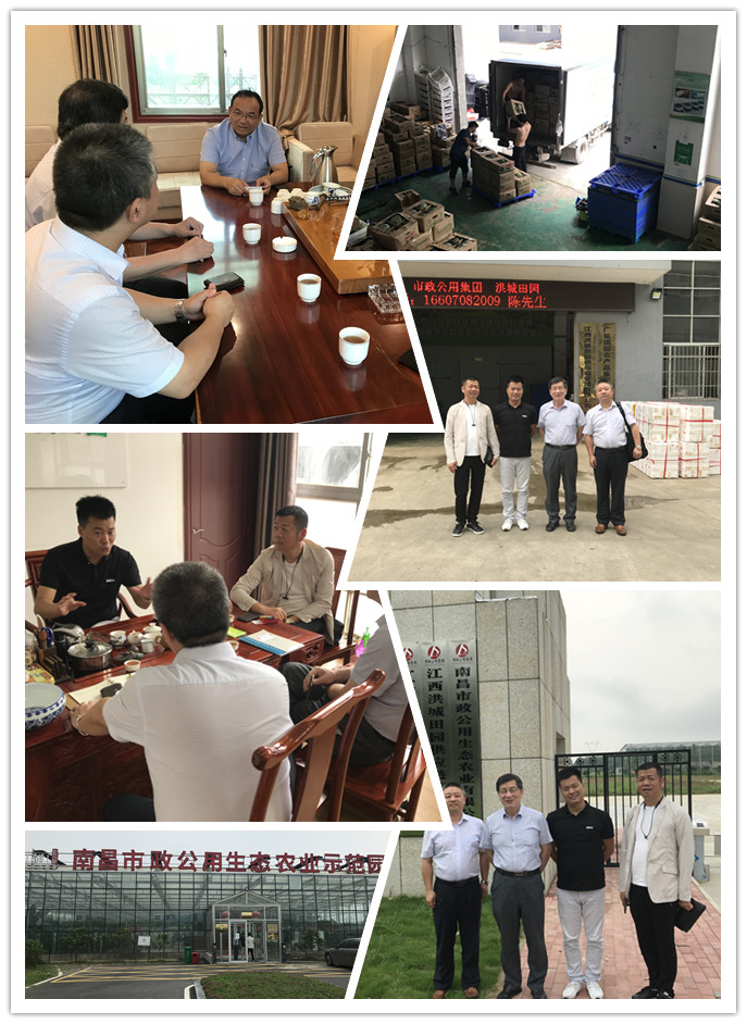 AG真人国际(中国) - 官方网站