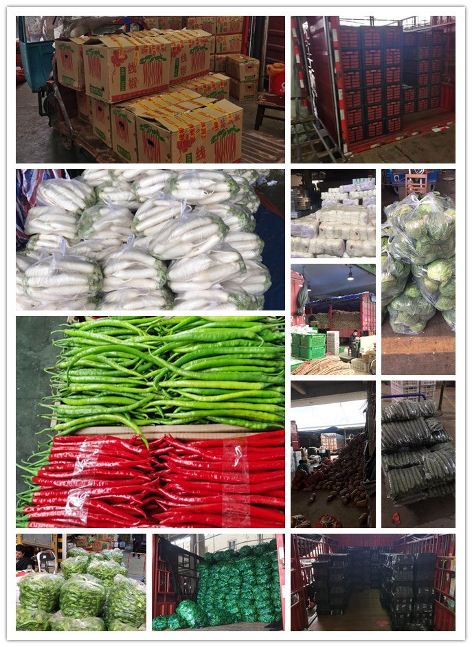 AG真人国际(中国) - 官方网站