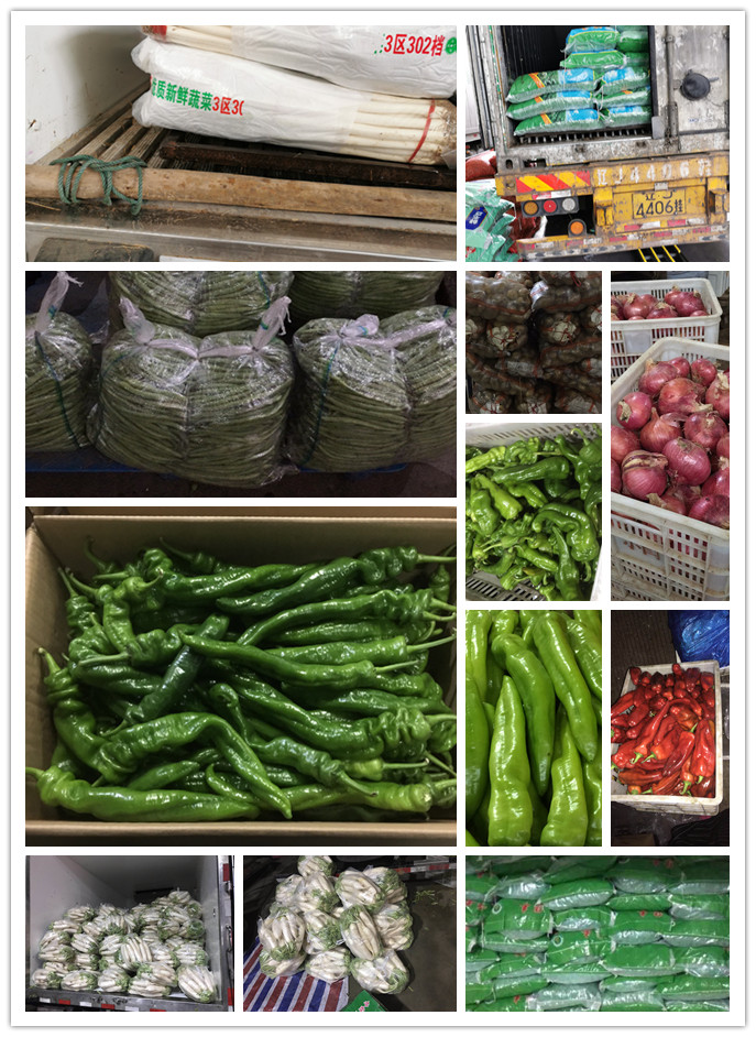 AG真人国际(中国) - 官方网站