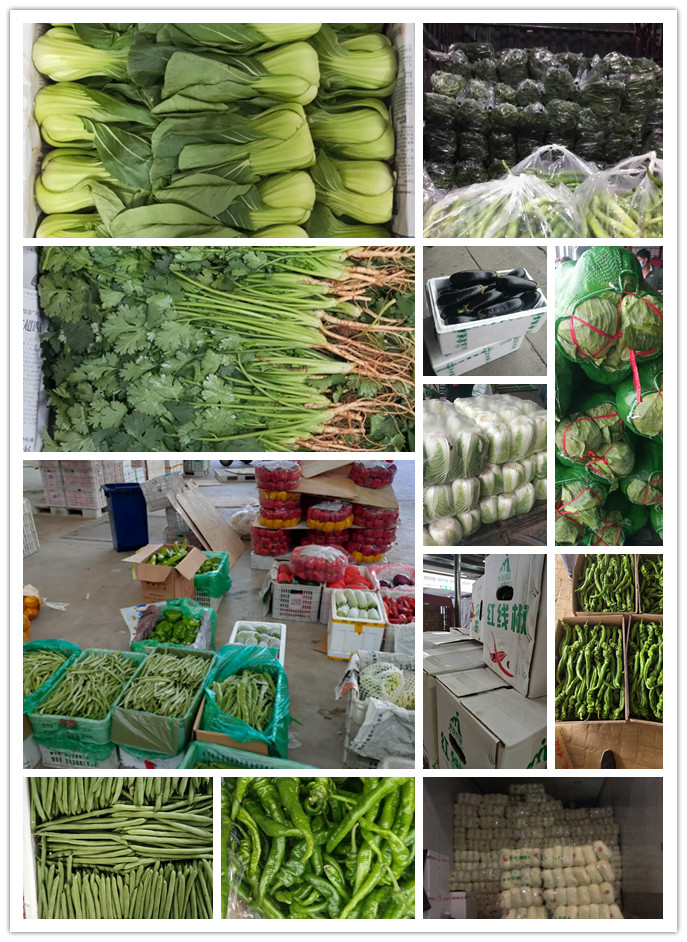 AG真人国际(中国) - 官方网站