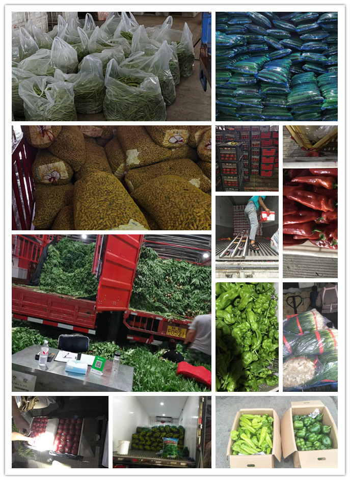 AG真人国际(中国) - 官方网站