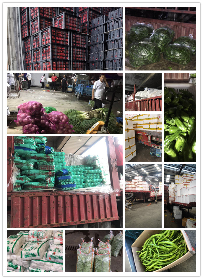 AG真人国际(中国) - 官方网站