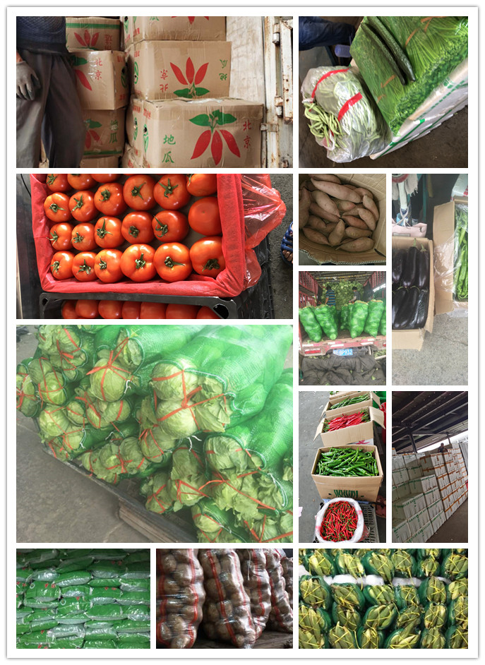 AG真人国际(中国) - 官方网站