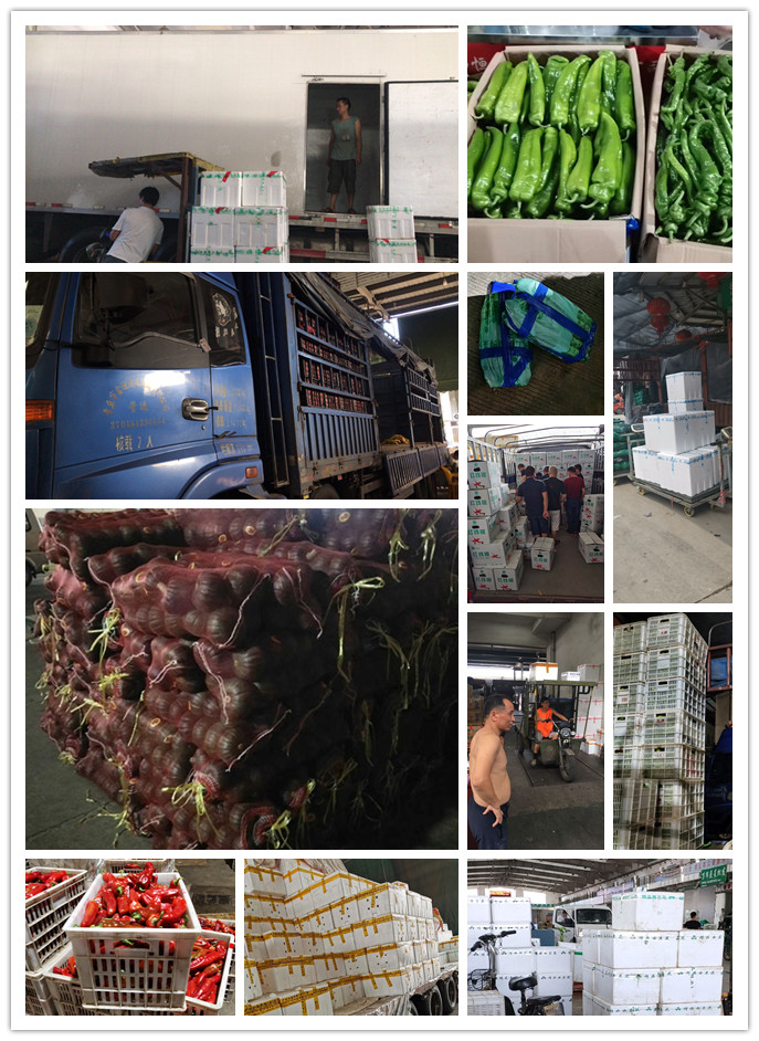 AG真人国际(中国) - 官方网站