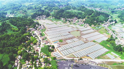 AG真人国际(中国) - 官方网站