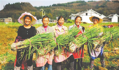 AG真人国际(中国) - 官方网站