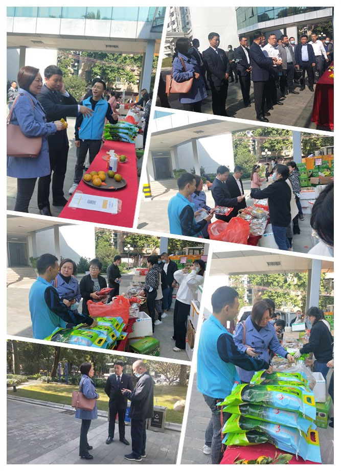 AG真人国际(中国) - 官方网站