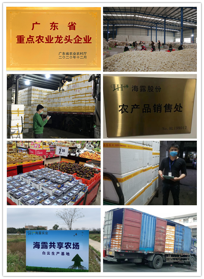 AG真人国际(中国) - 官方网站