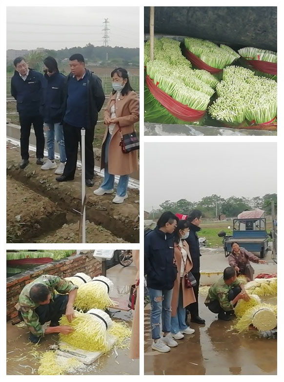 AG真人国际(中国) - 官方网站