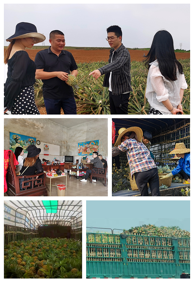 AG真人国际(中国) - 官方网站