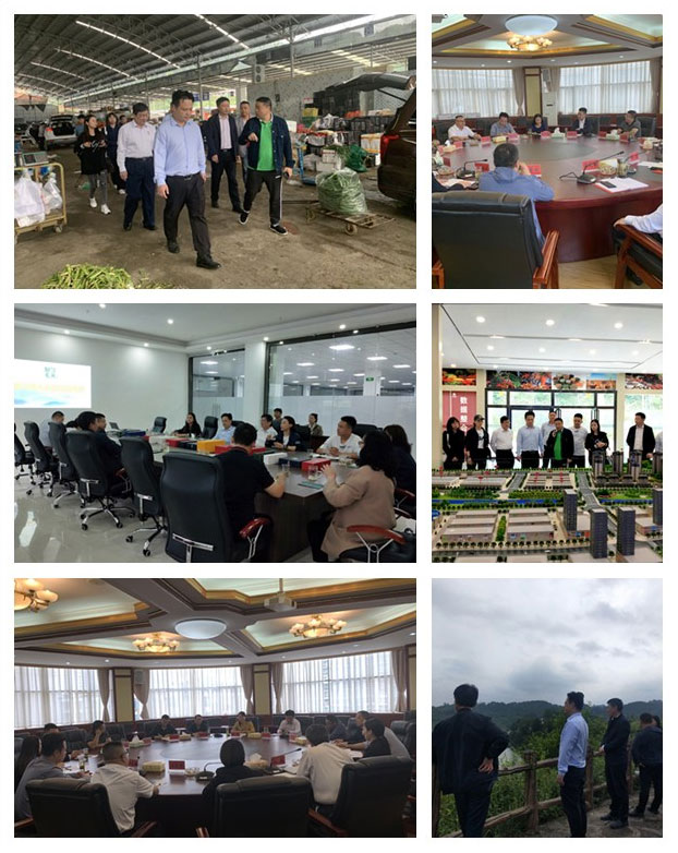 AG真人国际(中国) - 官方网站