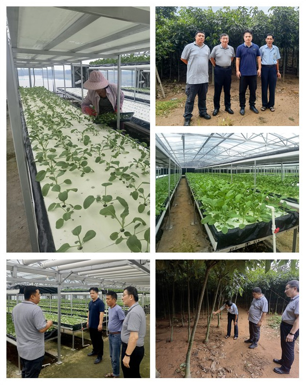 AG真人国际(中国) - 官方网站