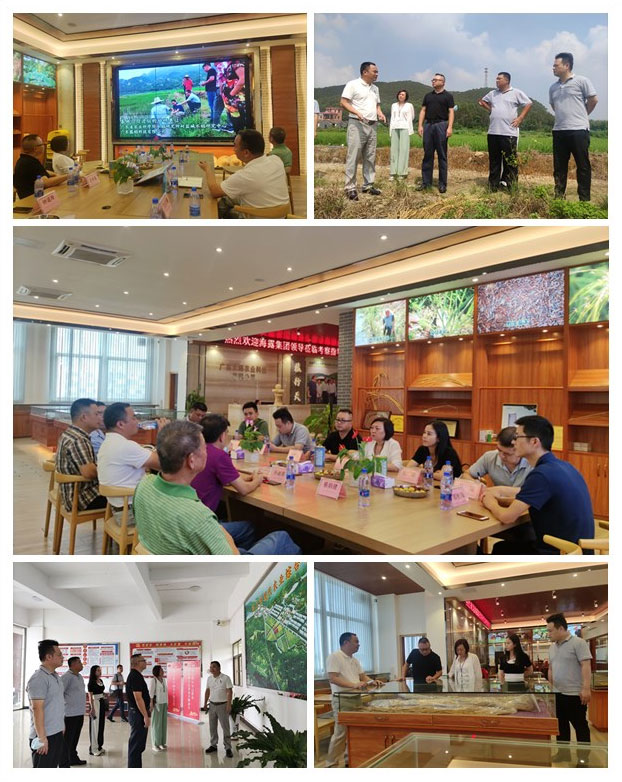 AG真人国际(中国) - 官方网站