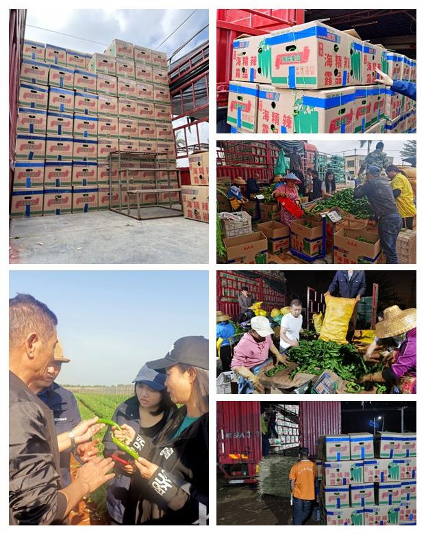 AG真人国际(中国) - 官方网站